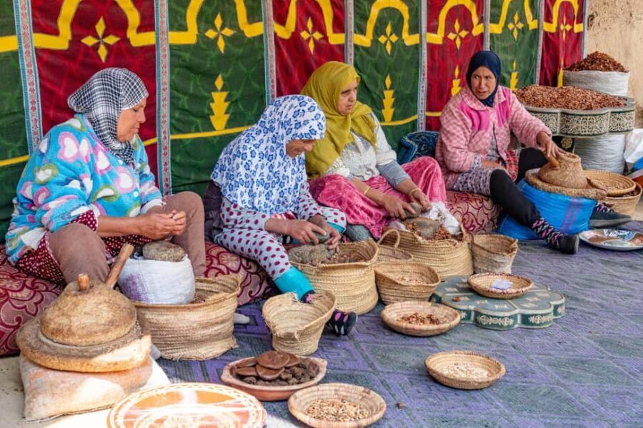 From Marrakech: Ourika Valley Trip, Waterfall Hike & Lunch - The Real Value of the Tour