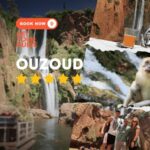 From Marrakech: Ouzoud Waterfalls Guided Hike and Boat Trip - Authentic Experiences and Tourist Insights