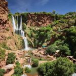 From Marrakech: Ouzoud Waterfalls Guided Tour & Boat Ride - Why This Tour Offers Excellent Value