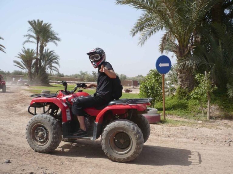 From Marrakech : Palm Grove Quad Bike Tour - A Closer Look at the Marrakech Palm Grove Quad Bike Tour