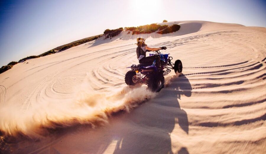 From Marrakech: Palmeraie and Berber Village Guided ATV Tour - Authentic Experiences Based on Real Traveler Feedback