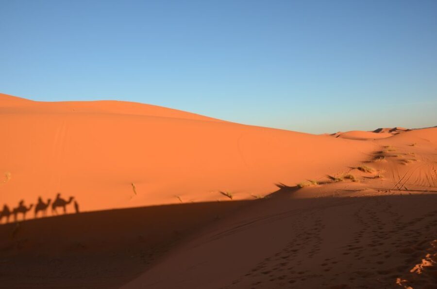 From Marrakech: Private 3-Day Sahara to Merzouga Tour - What’s Included and What’s Not