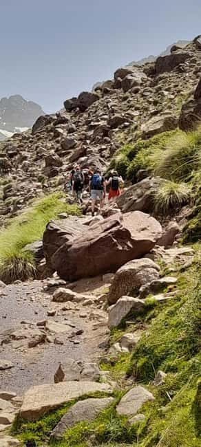 From Marrakech: Scenic Day Trip to Ourika Valley - Authentic Experiences and Cultural Touchpoints