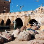 From Marrakech: small group Day Trip To Essaouira Mogador - Authentic Experiences that Enrich the Trip