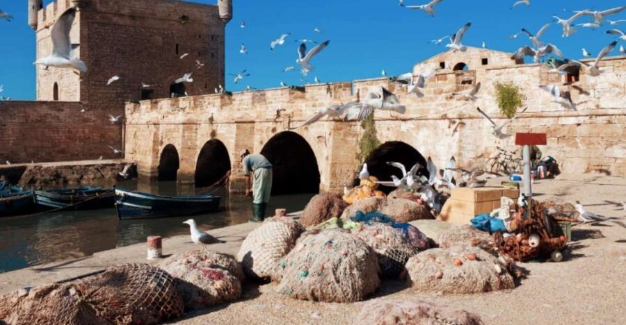 From Marrakech: small group Day Trip To Essaouira Mogador - Authentic Experiences that Enrich the Trip