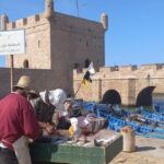 From Marrakech: Small Group To Essaouira & Medina Day Trip - The Itinerary: A Closer Look
