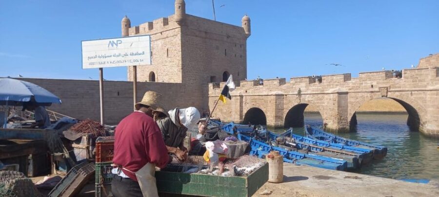 From Marrakech: Small Group To Essaouira & Medina Day Trip - The Itinerary: A Closer Look