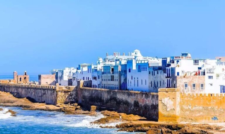 From Marrakech: Small Group to Essaouira & Sekkala Day Trip - Stops on the Route: Learning About Argan Oil and Local Life