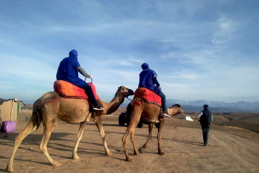 From Marrakech: Sunset Camel Ride in the Agafay Desert - Authentic Experiences and Common Criticisms