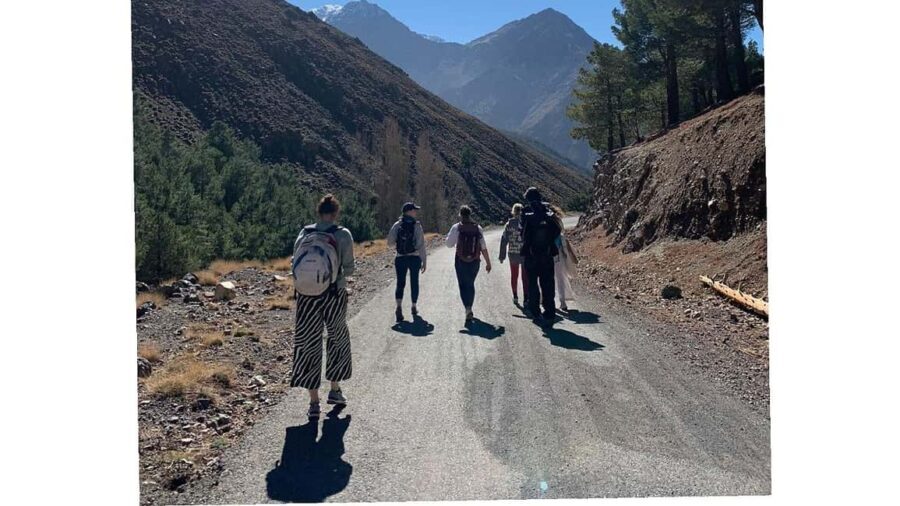 From Marrakech: Taoudja Summit Hike in the Atlas Mountain - The Hike and Its Highlights