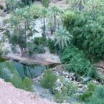 From Marrakech to Agadir Private Day Trip with Lunch - A Complete Look at the Marrakech to Agadir Day Trip