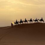 From Marrakech to Fes 3-Day Luxrury Tour via Sahara Desert - What’s Included and What’s Not