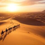 From Marrakech to Fes: 3-Day Sahara Desert Adventure - What’s Included and What’s Not