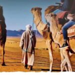 From Marrakech: Tour 2-Day To Desert Zagora - What’s Included & What’s Not