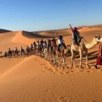 From Marrakech: Tour 3-Day To Fez Via-Desert Merzouga - What Reviewers Say