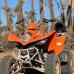 From Marrakech Tours: 2 Hours Desert Quad Bike Adventure - Practical Details and Value