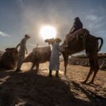 From Marrakech: VIP Agafay Desert & Oasis Camel Experience - The Itinerary: What You Can Expect