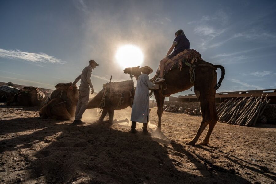 From Marrakech: VIP Agafay Desert & Oasis Camel Experience - The Itinerary: What You Can Expect