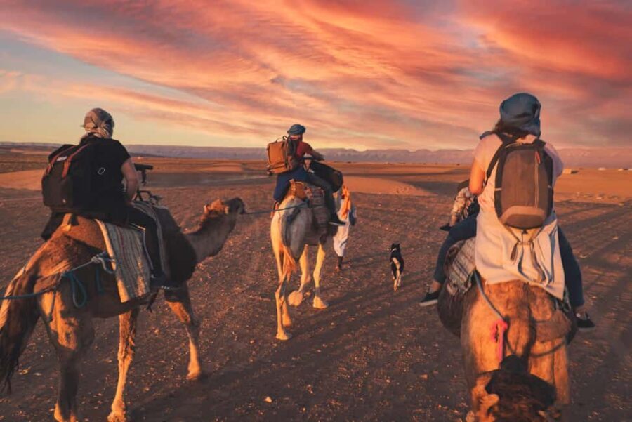 From Marrakech: Zagora 2-Day Desert Safari with Food & Camp - Exploring Ait BenHaddou: A UNESCO Gem