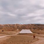 From Marrakesh: Agafay Desert Quad Biking, Camels & Dinner - Who Will Love This Tour?