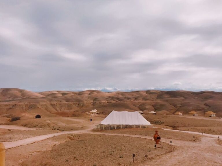 From Marrakesh: Agafay Desert Quad Biking, Camels & Dinner - Who Will Love This Tour?