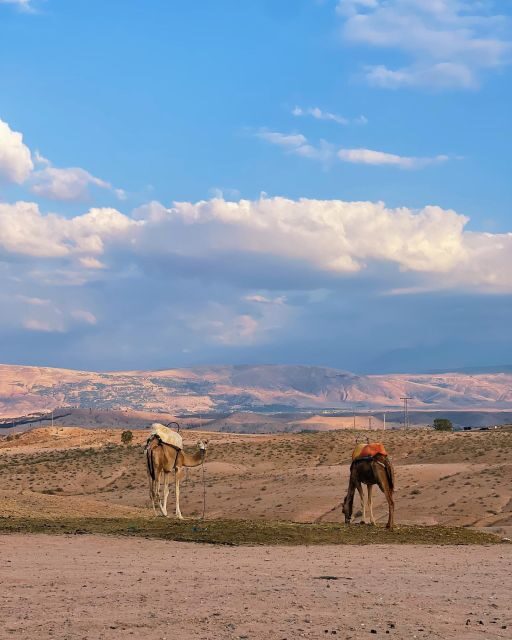 From Marrakesh: Agafay Desert Sunset, Camel Ride, and Dinne - Who Is This Tour Best For?