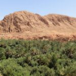 From Marrakesh: Atlas Mountains and Sahara Desert Car Tour - The Sum Up