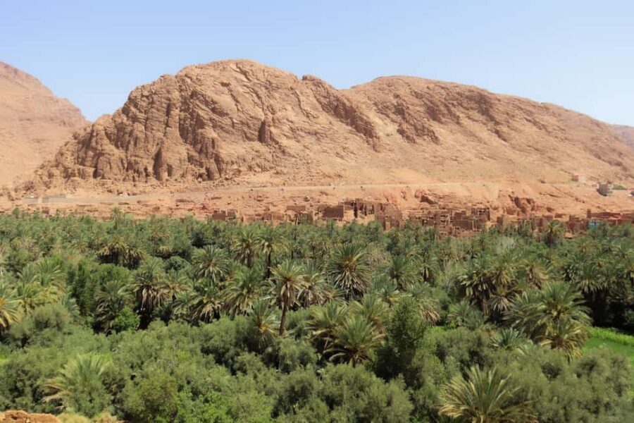 From Marrakesh: Atlas Mountains and Sahara Desert Car Tour - The Sum Up