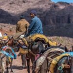 From Marrakesh: Atlas Mountains in Imlil Day Trip with Lunch - Detailed Breakdown of What Makes This Tour Stand Out
