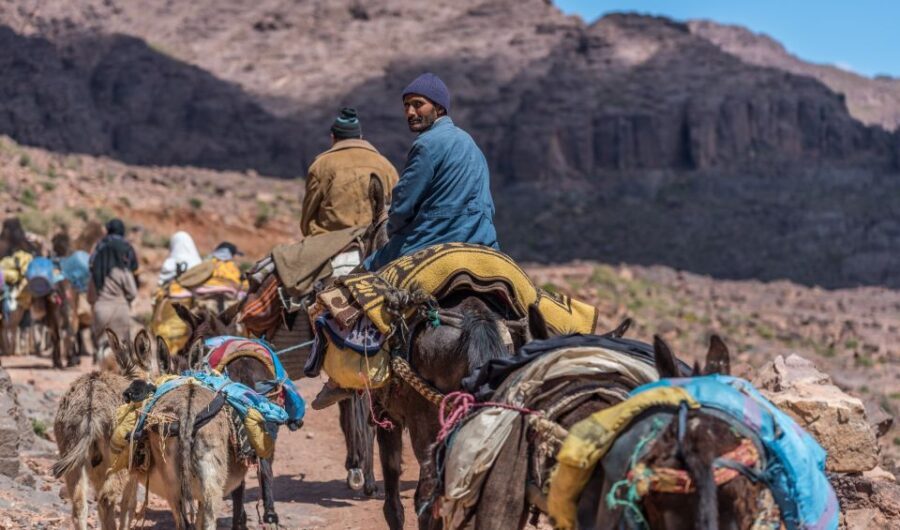 From Marrakesh: Atlas Mountains in Imlil Day Trip with Lunch - Detailed Breakdown of What Makes This Tour Stand Out