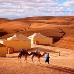 From Marrakesh: Dinner Agafay Desert Sunset, Stars And Show - Authenticity and Value