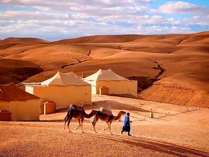 From Marrakesh: Dinner Agafay Desert Sunset, Stars And Show - Authenticity and Value