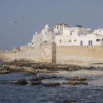From Marrakesh: Essaouira Full-Day Trip - Exploring the Historic Port and Old Medina