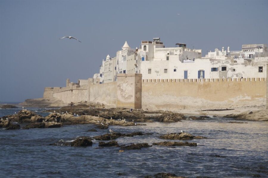 From Marrakesh: Essaouira Full-Day Trip - Exploring the Historic Port and Old Medina