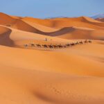 From Marrakesh: Private 4-Day Sahara Desert Discovery Tour - Exploring the Itinerary in Detail