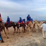 From Marrakesh: Sunset Camel Ride in the Agafay Desert - The Itinerary: What to Expect