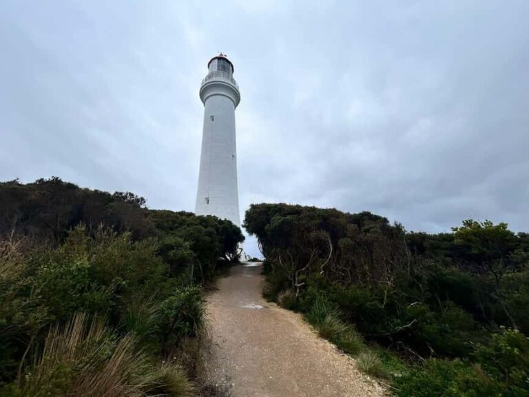 From Melbourne: 12 Apostles & Great Ocean Road Private Tour - Why This Tour Stands Out