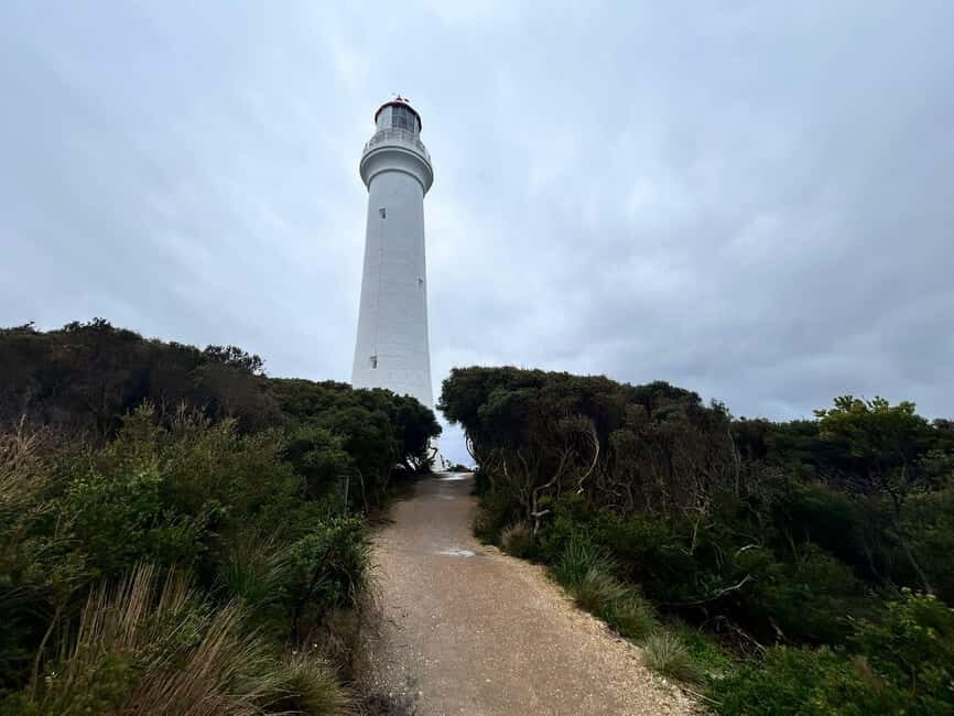 From Melbourne: 12 Apostles & Great Ocean Road Private Tour - Why This Tour Stands Out