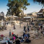 From Melbourne: Ballarat Wildlife Park & Sovereign Hill Tour - Practical Tips for the Tour