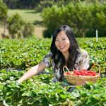 From Melbourne: Bay Sightseeing and Ferry Ride with Lunch - Exploring the Itinerary: What You Can Expect