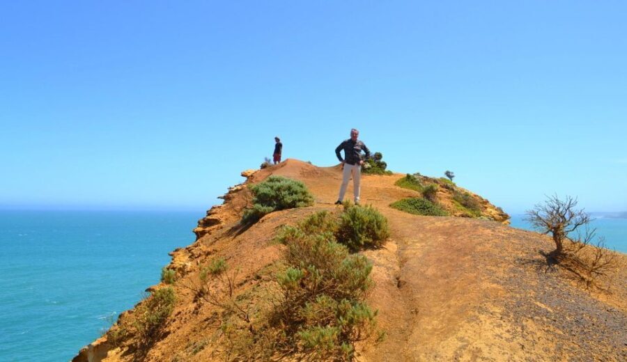 From Melbourne: Great Ocean Road Day Trip with Dinner - Itinerary Breakdown: From Beaches to Secret Spots