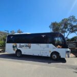 From Melbourne: Great Ocean Road, Dingos, Sparkling & Lunch - What We Appreciate and What to Keep in Mind