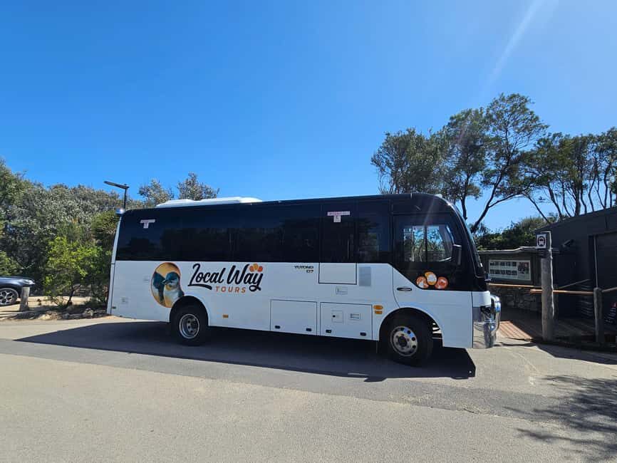 From Melbourne: Great Ocean Road, Dingos, Sparkling & Lunch - What We Appreciate and What to Keep in Mind