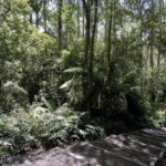 From Melbourne: Great Ocean Road Full-Day Sunset Tour - In-Depth Breakdown of the Itinerary