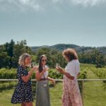 From Melbourne: Mornington Peninsula Hop-On-Hop-Off Bus - What Makes This Tour Stand Out