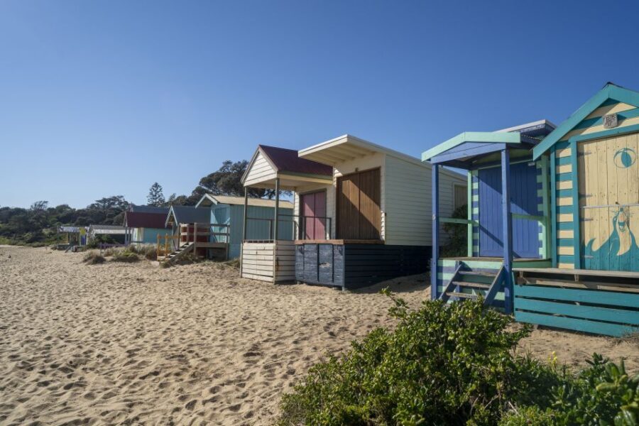 From Melbourne: Mornington Peninsula: Sightseeing Tour - Transportation and Practical Details