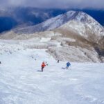 From Melbourne: Mt Buller Scenic Snow Getaway Day Tour - Final Thoughts on Value and Suitability