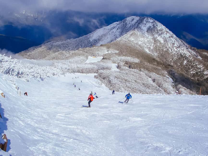 From Melbourne: Mt Buller Scenic Snow Getaway Day Tour - Final Thoughts on Value and Suitability