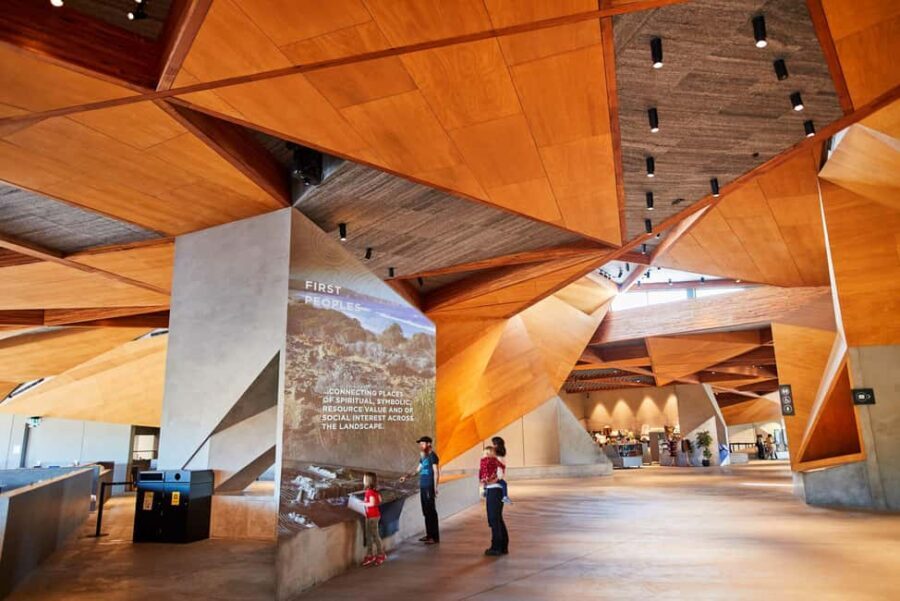 From Melbourne: Penguin Parade and Koalas Tour - Analyzing Value and Practicalities