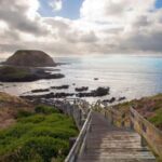 From Melbourne: Penguin Parade, Koalas & Kangaroos - The Practicalities: What’s Included and What to Consider